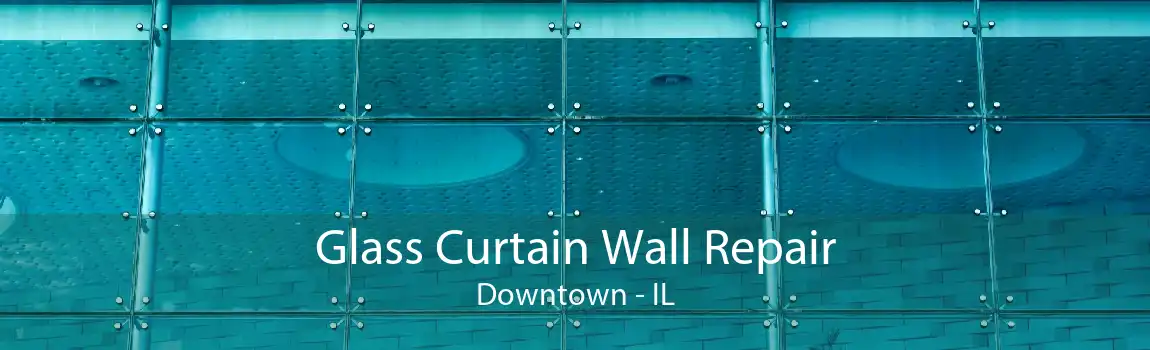 Glass Curtain Wall Repair Downtown - IL